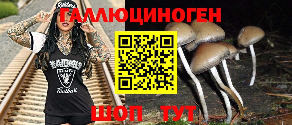 Псилоцибиновые грибы мухоморы Ипатово