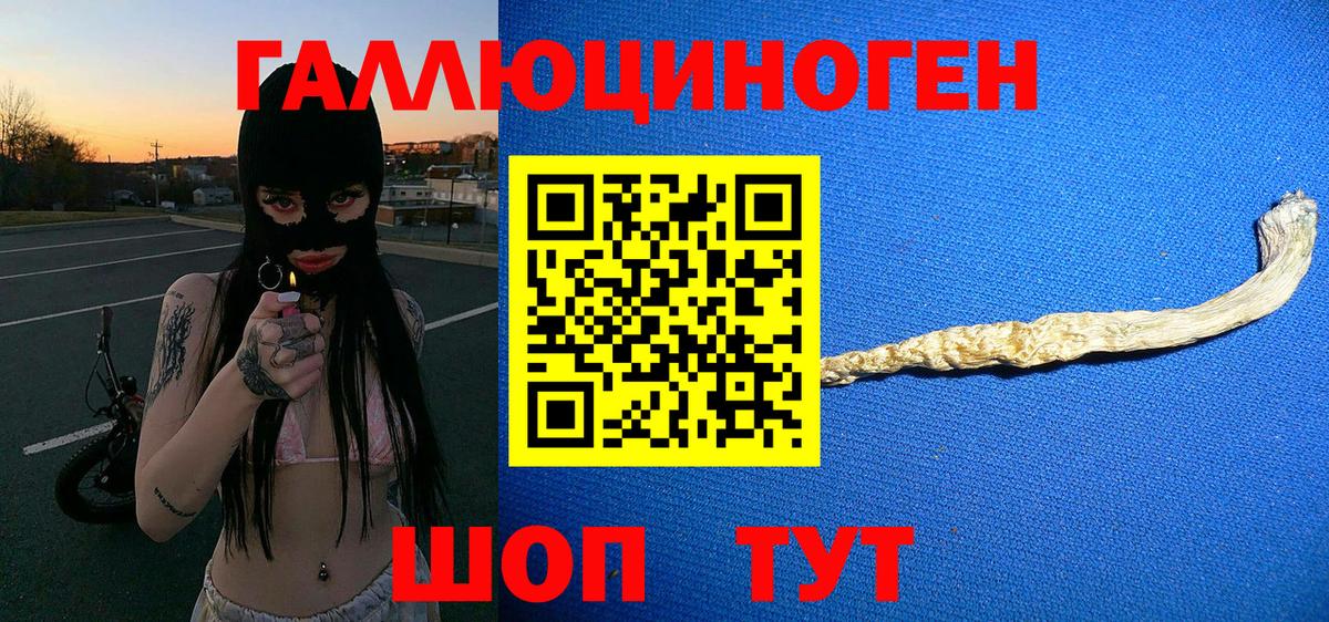 Галлюциногенные грибы прущие грибы  Вход с VPN  Ипатово 